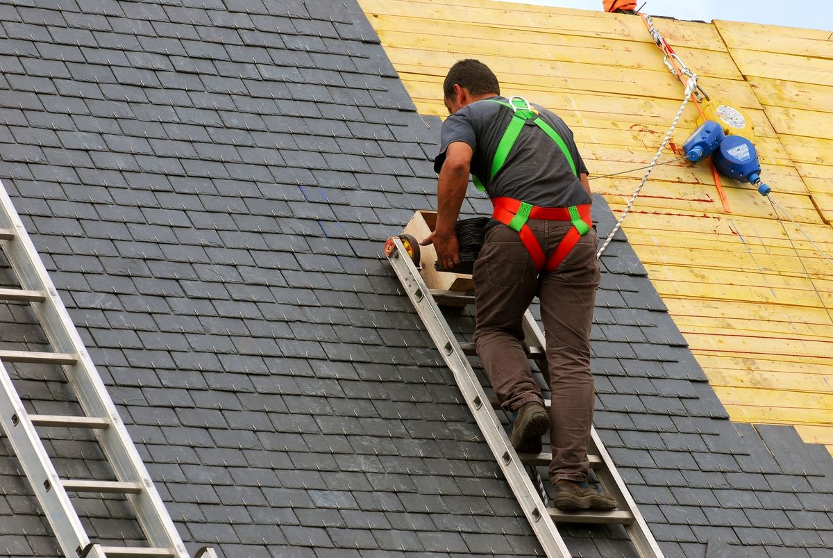 Roof Maintenance